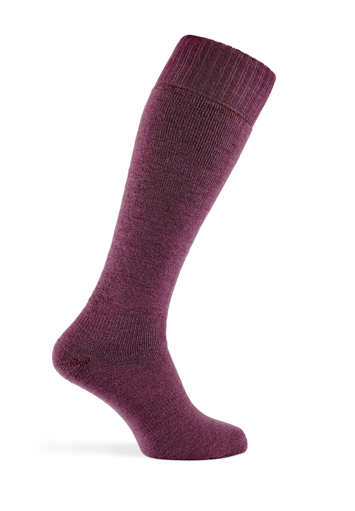 HIKER KNEE SOCK | DAMSON